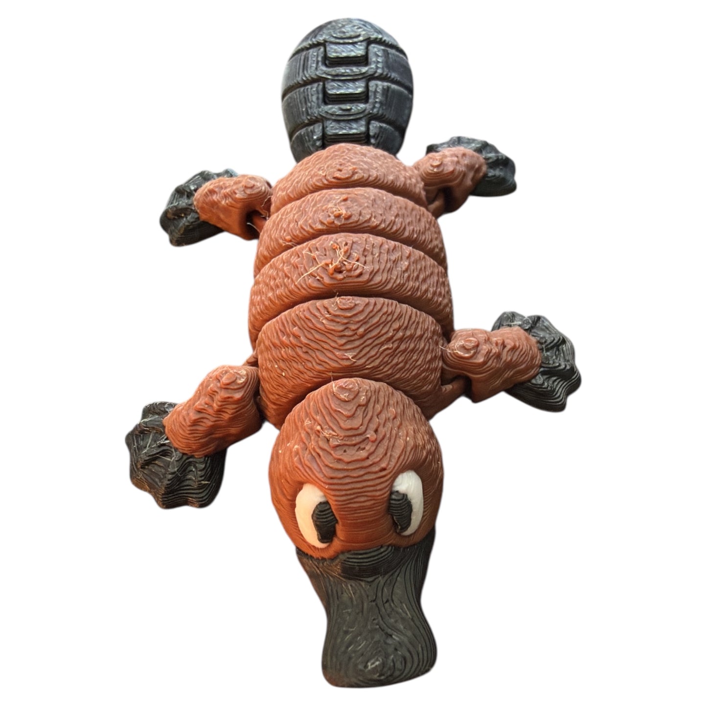 Platy l’Ornithorynque Curieux