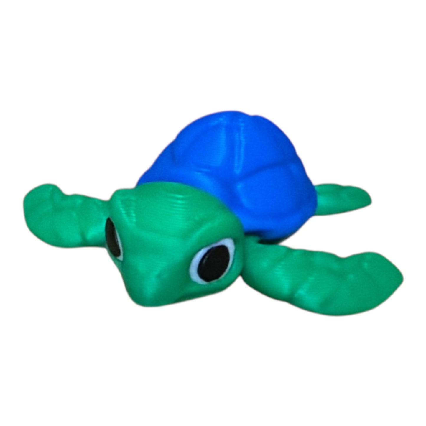 🐢 Timi la Tortue Voyageuse